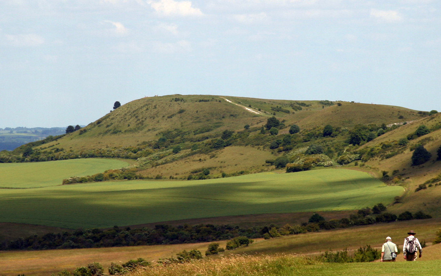 Ivinghoe Beacon seen looking north from The Ridgeway.