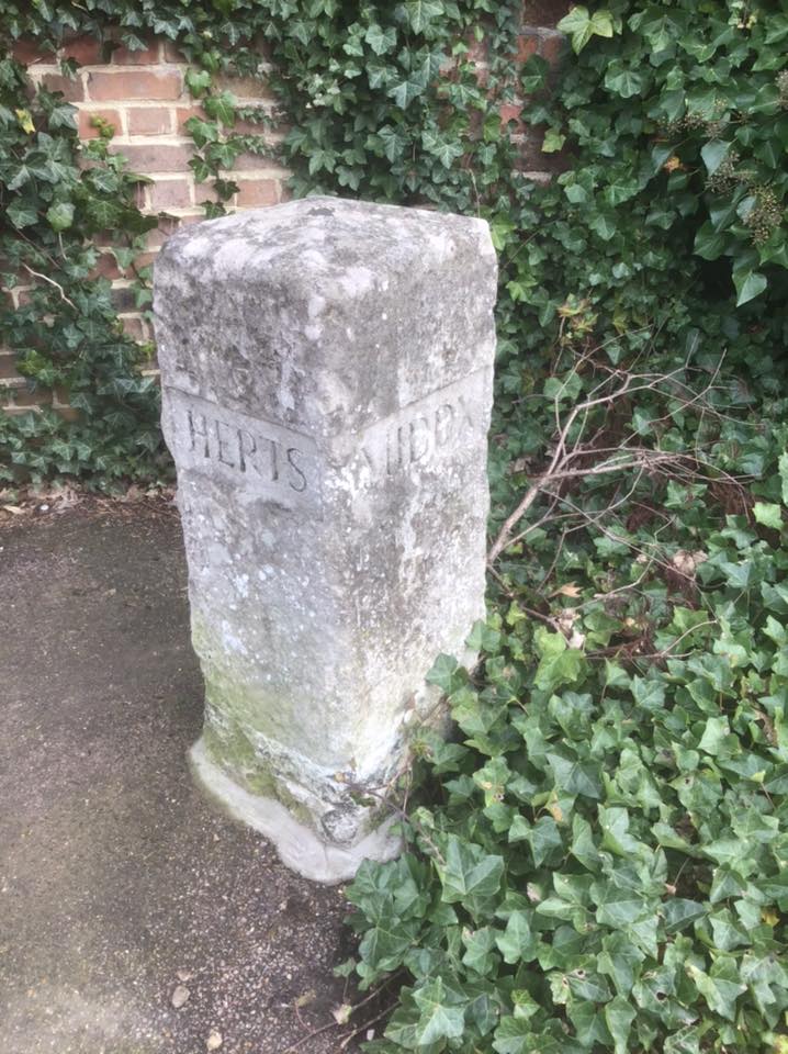 84579093_1553757841444202_2880945327785902080_n