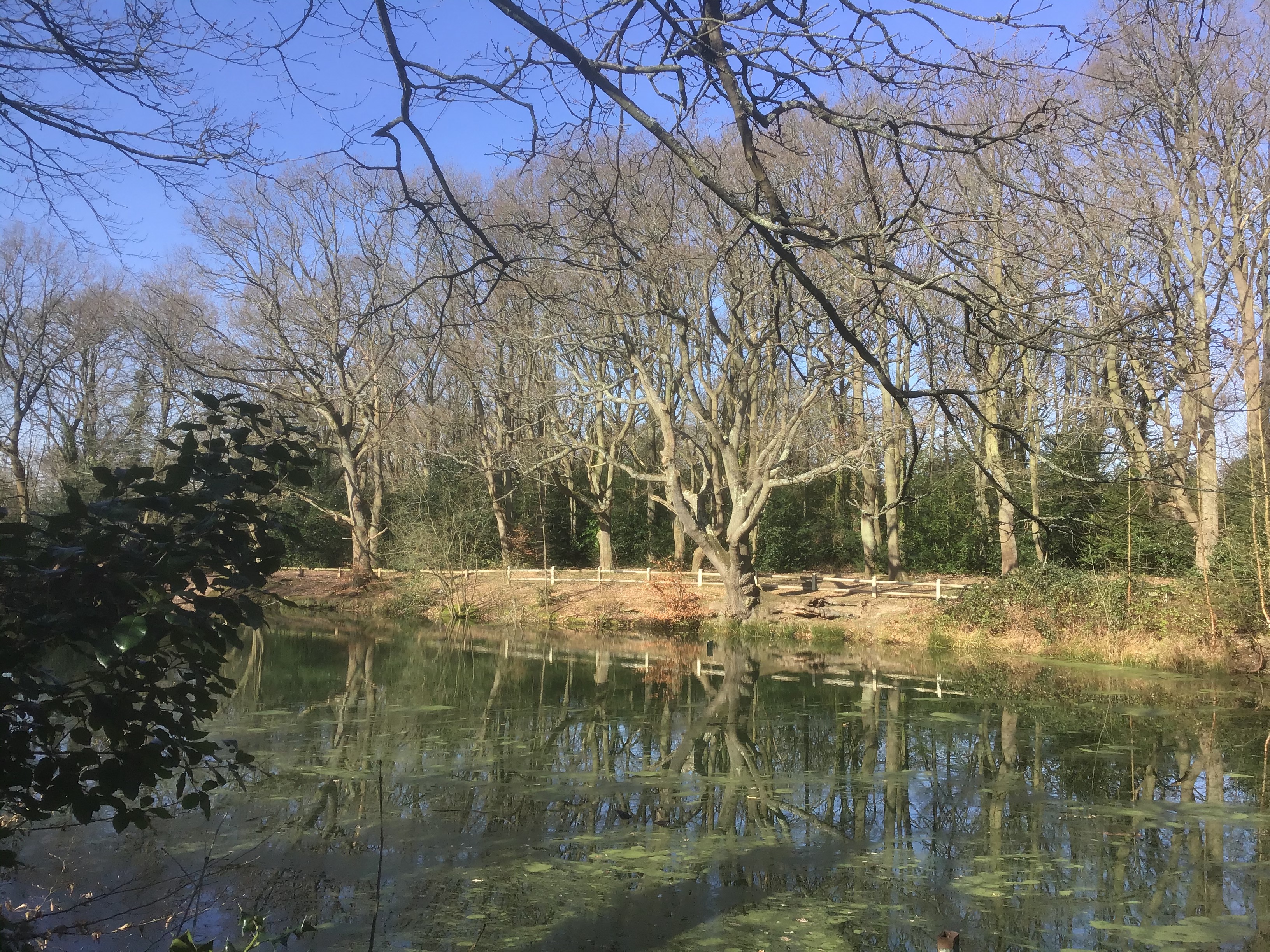 Caesar's Pond in Little Stanmore