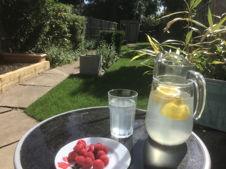 Hiding in the garden