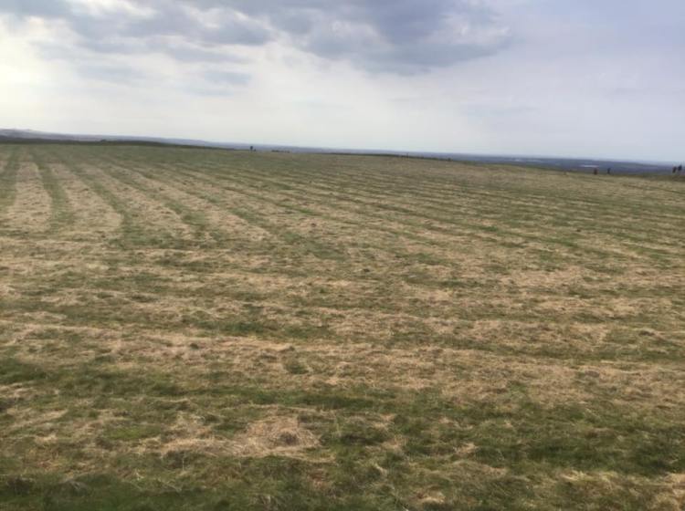 On top of Whitehorse Hill