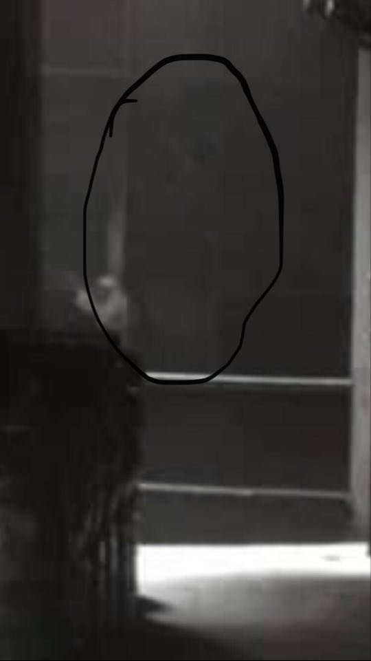 121100374_3345837972131054_2567496369749939527_n-3