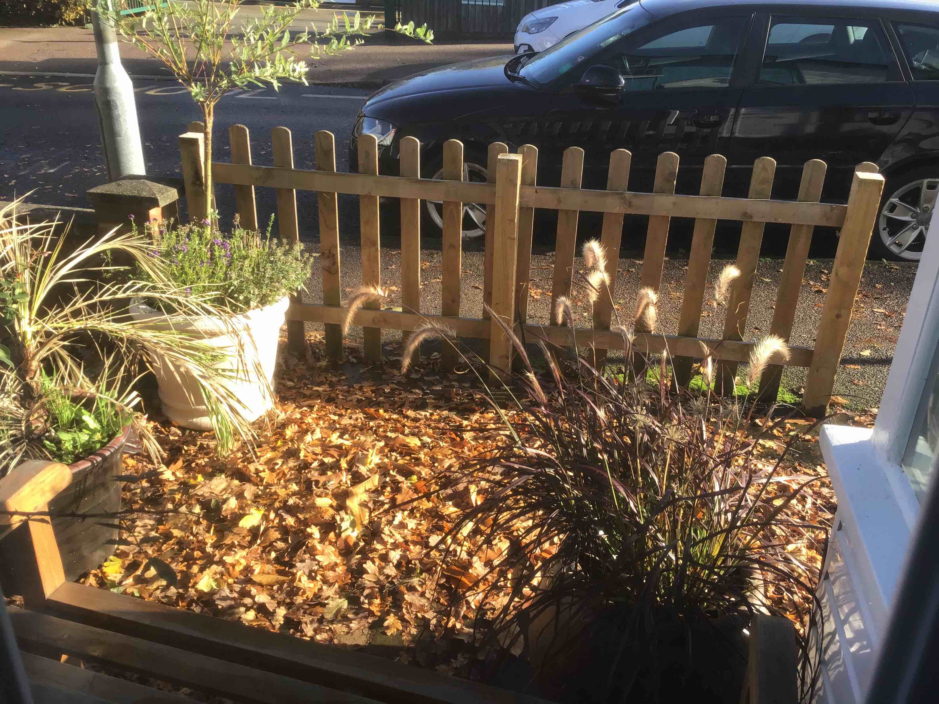 A room with a leafy view