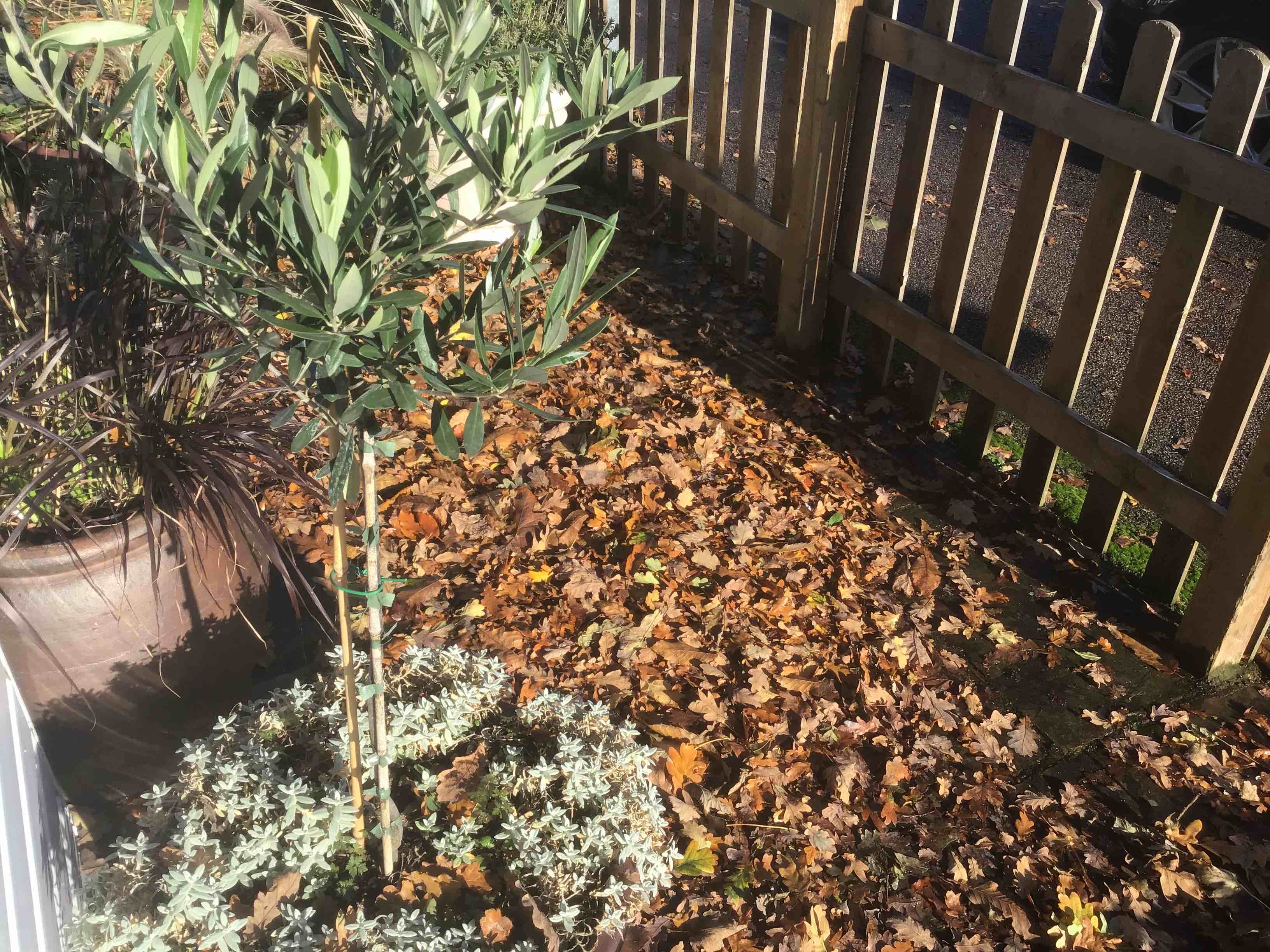 The great Leafy rebellion