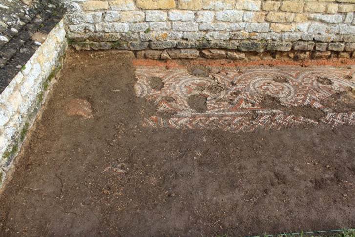 The Chedworth Roman Villa Mosaic