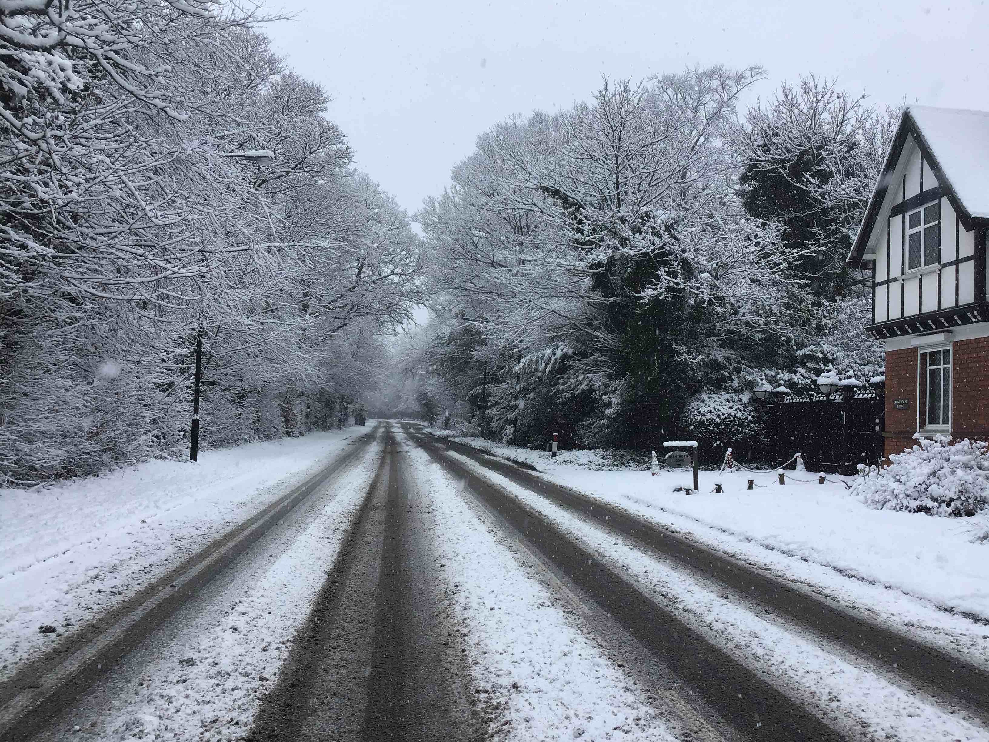 Common Road in the snow
