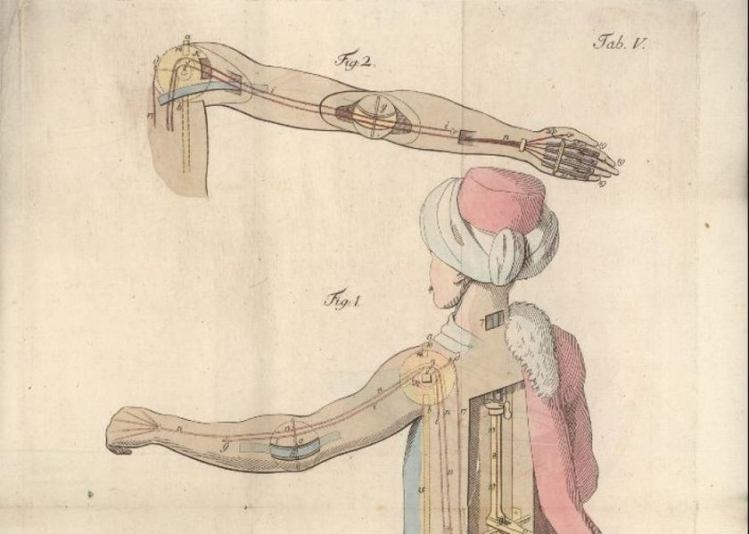 A basic plan of the mechanisms