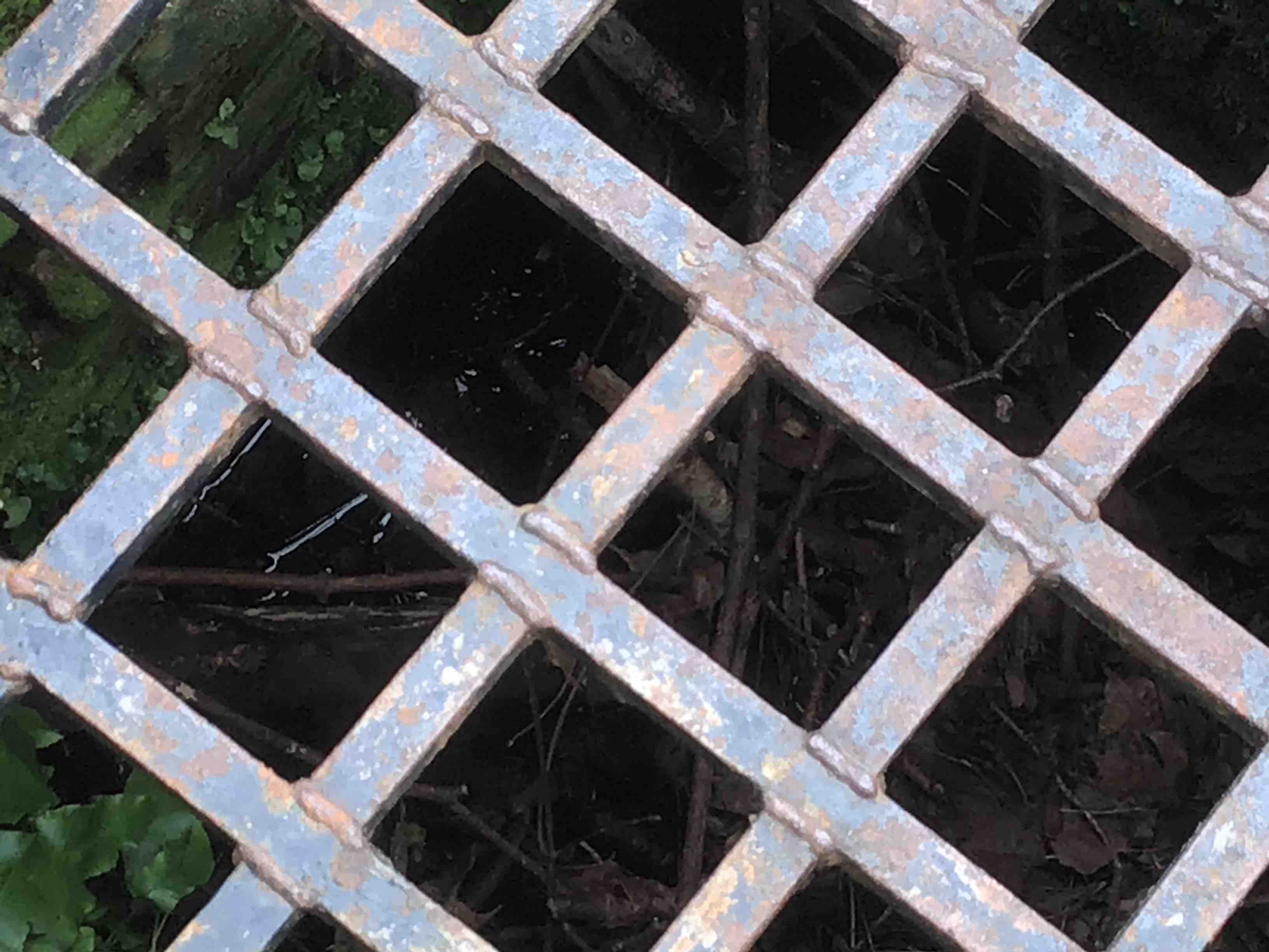 Water in the Holy Well of St Albans
