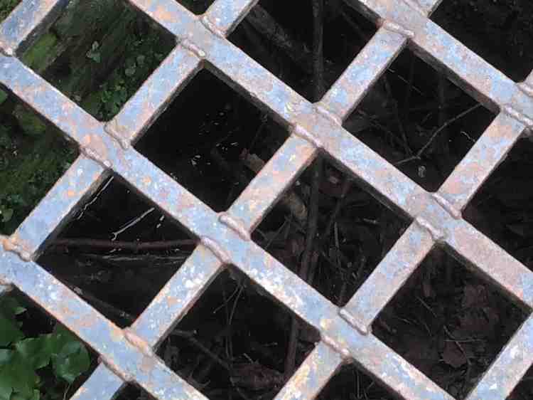 Water in the Holy Well of St Albans