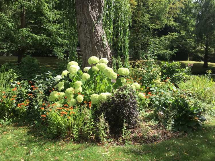 296389542_2310710229082289_666105675077704537_n